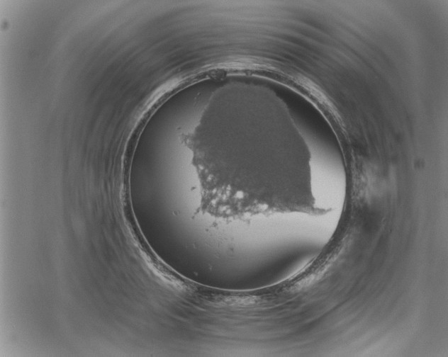 X0000058780845200510031018