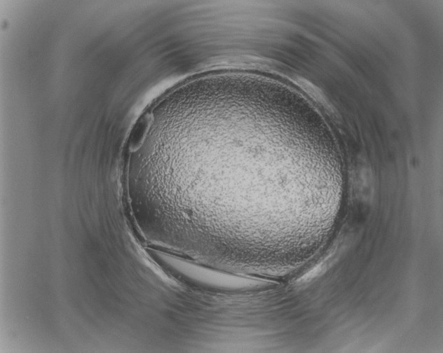 X0000058780846200510031018