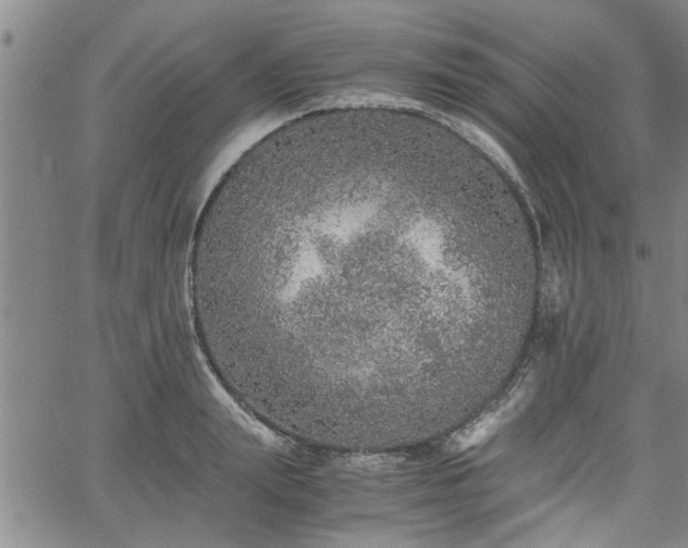 X0000058780847200510031018