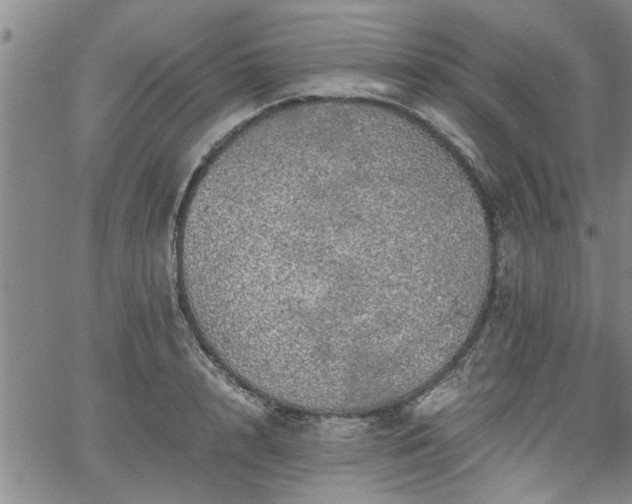 X0000058780848200510031018