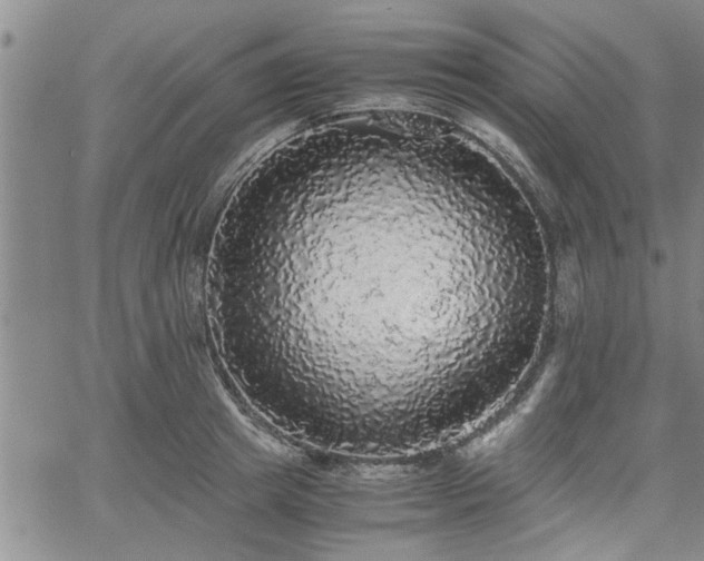 X0000058780849200510031018