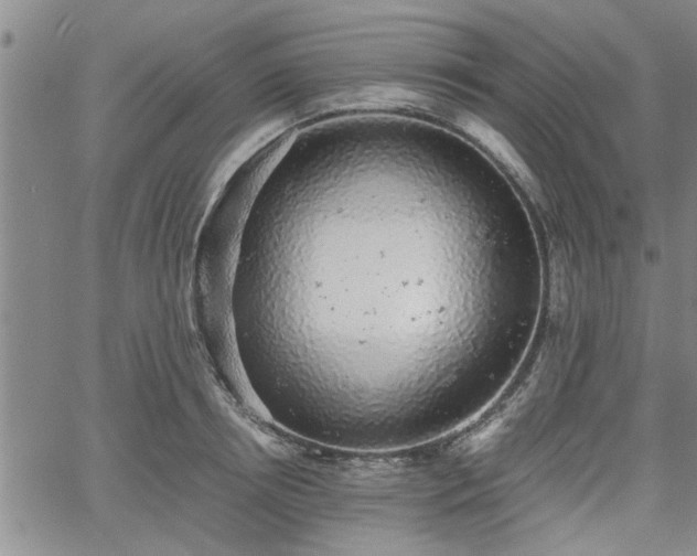 X0000058780850200510031018