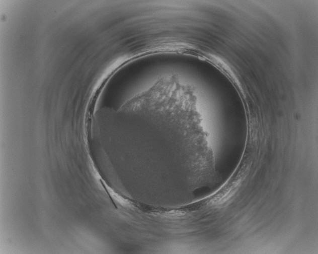 X0000058780851200510031018