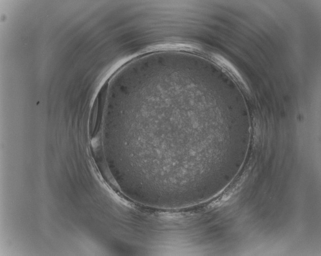 X0000058780852200510031018