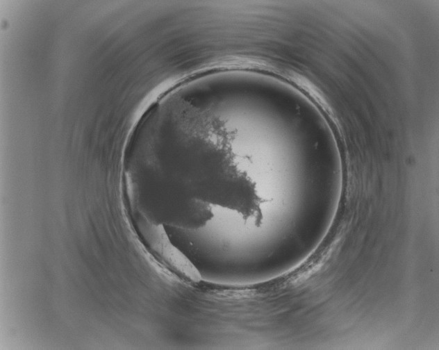 X0000058780853200510031018