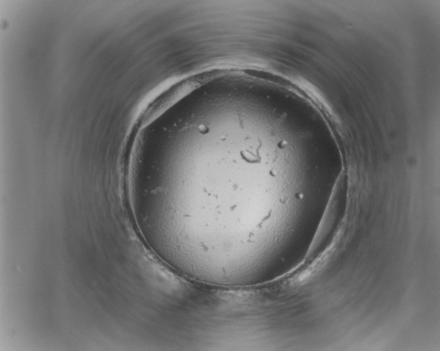 X0000058780854200510031018