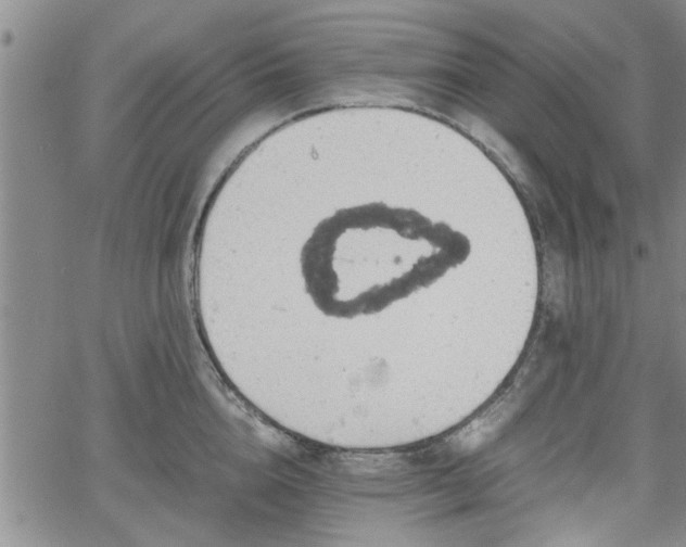 X0000058780856200510031018