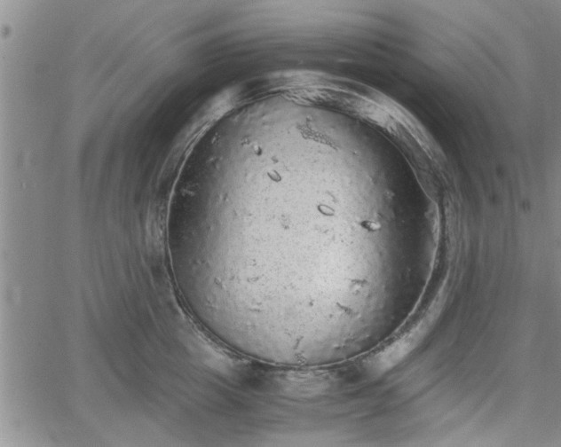 X0000058780857200510031018