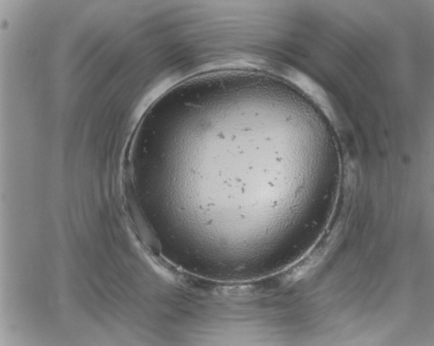 X0000058780858200510031018