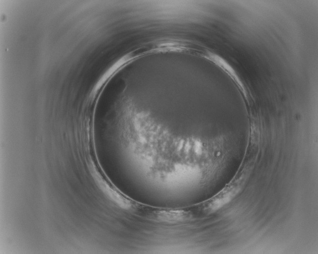 X0000058780859200510031018