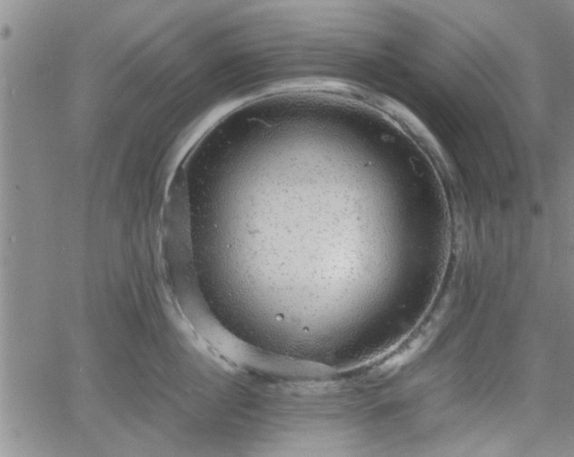 X0000058780860200510031018