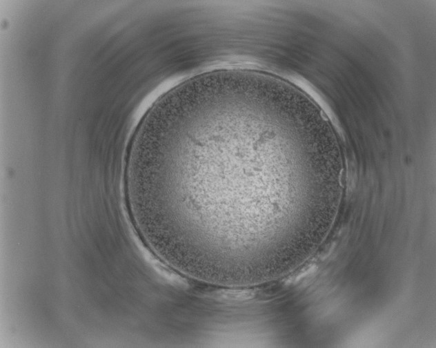 X0000058780861200510031018