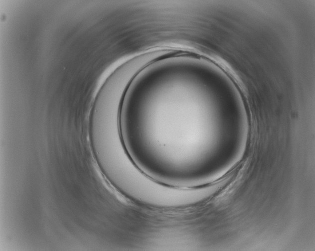 X0000058780862200510031018