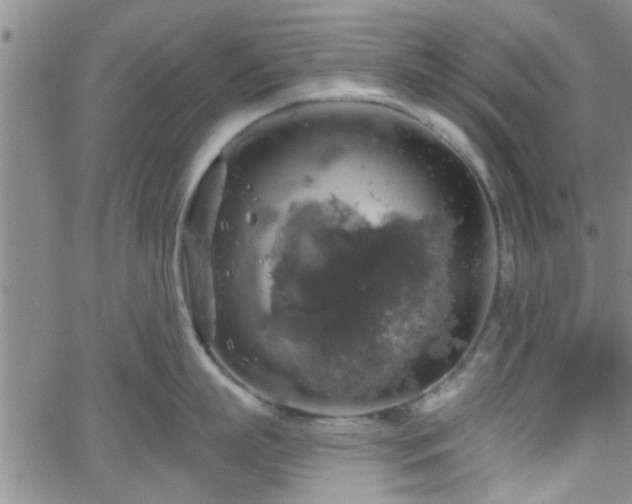 X0000058780863200510031018