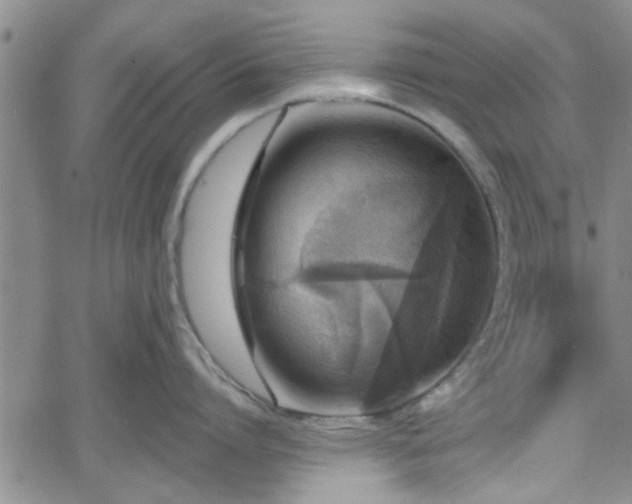 X0000058780864200510031018