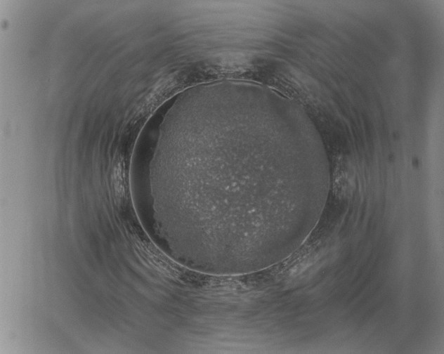 X0000058780866200510031017