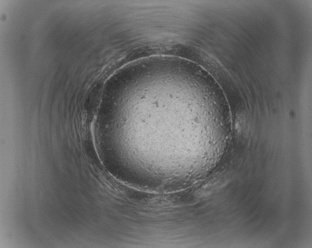 X0000058780867200510031017