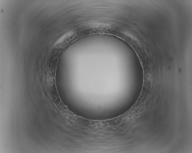 X0000058780869200510031017