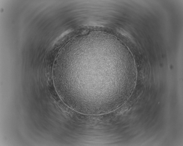 X0000058780870200510031017