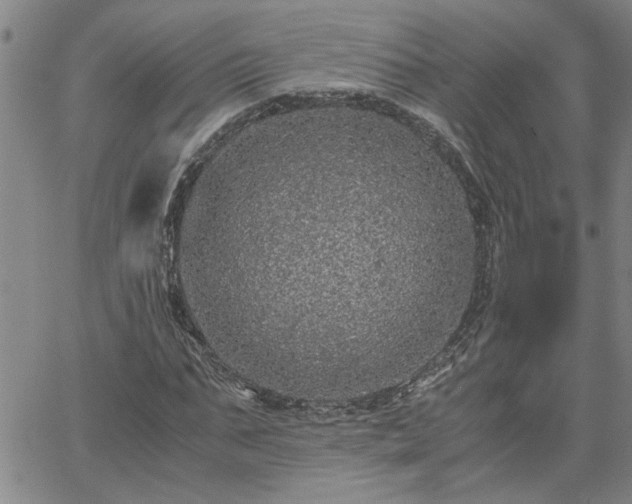 X0000058780871200510031017