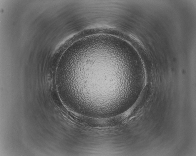 X0000058780872200510031017