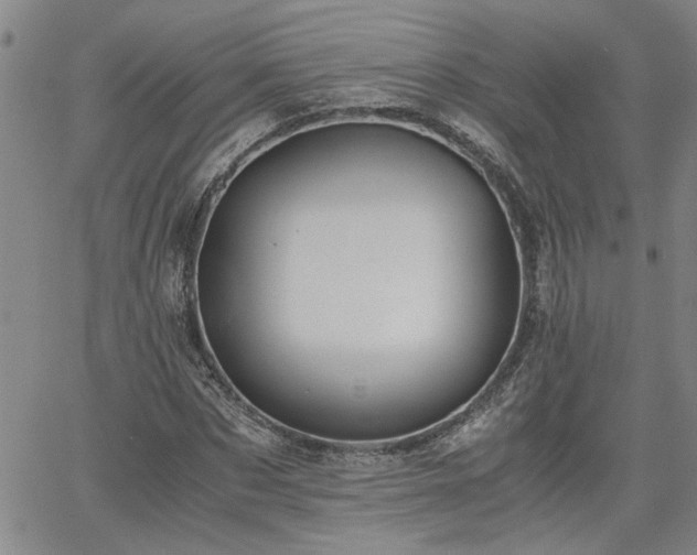 X0000058780873200510031017