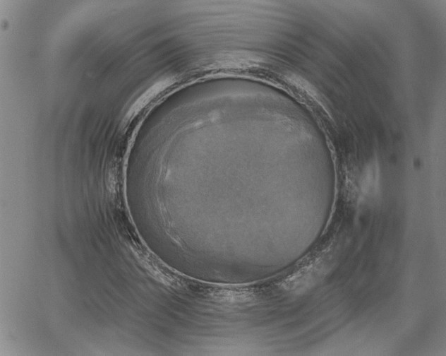 X0000058780874200510031017