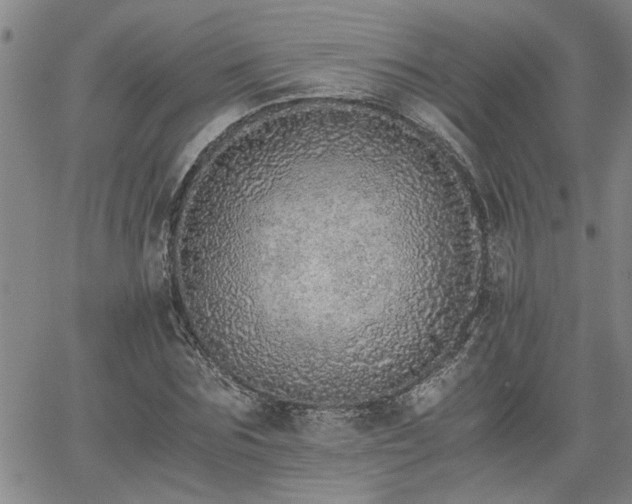 X0000058780875200510031017