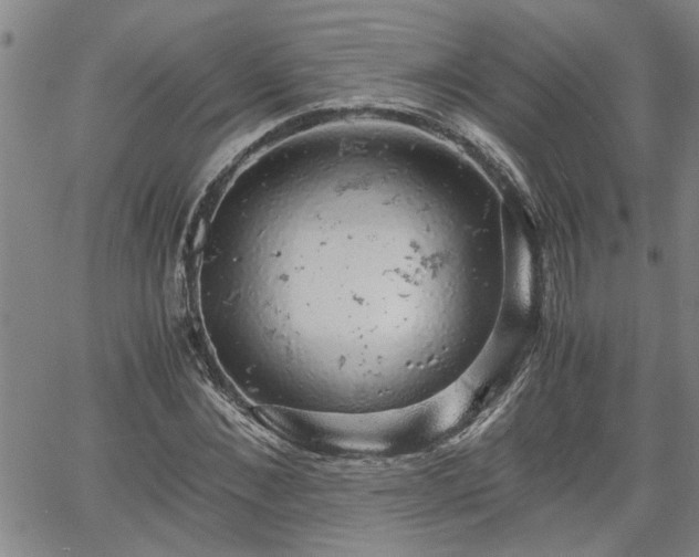 X0000058780876200510031017