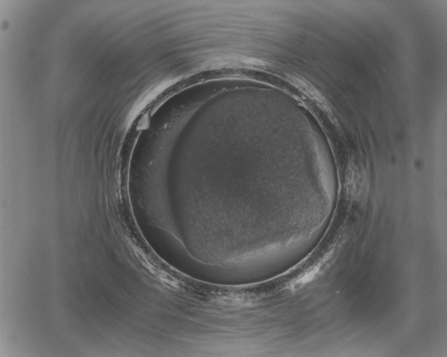 X0000058780877200510031017