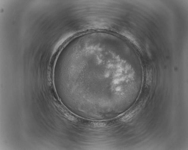 X0000058780878200510031017