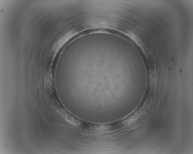 X0000058780879200510031017