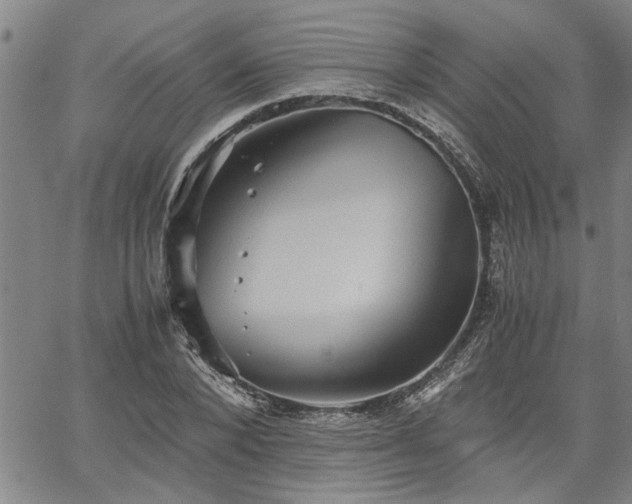 X0000058780880200510031017