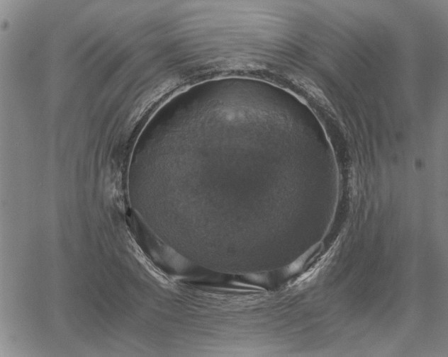 X0000058780881200510031017