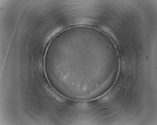 X0000058780882200510031017