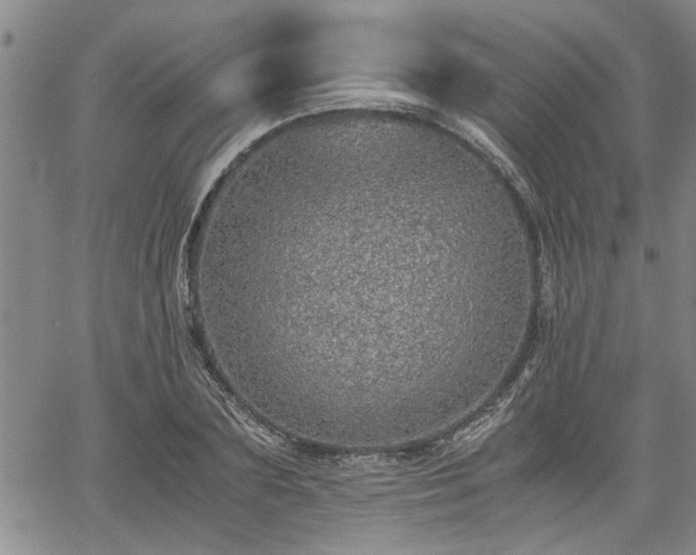 X0000058780883200510031017