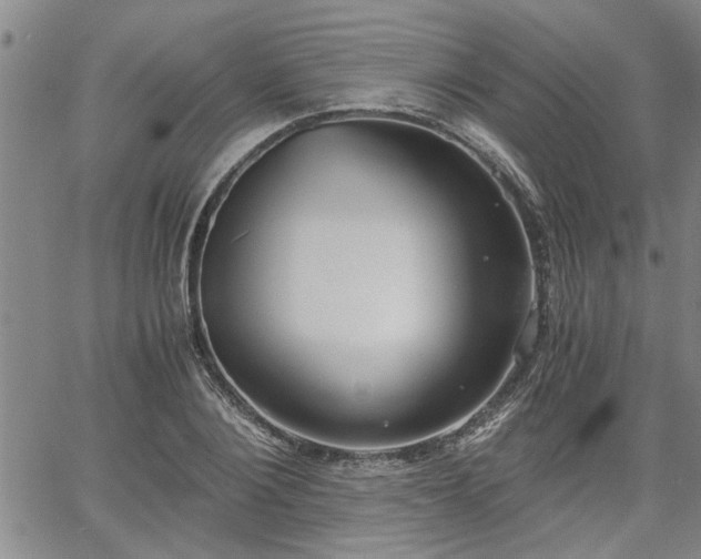 X0000058780884200510031017