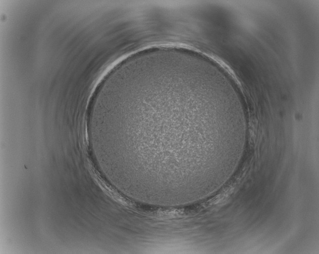 X0000058780887200510031017