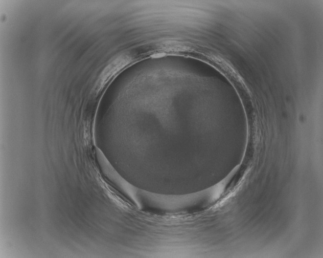 X0000058780889200510031017