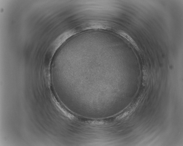 X0000058780890200510031017