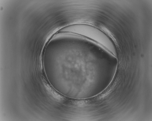 X0000058780892200510031017