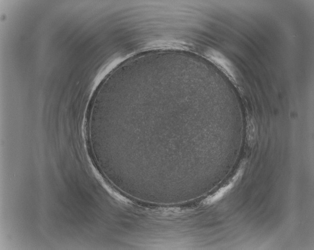 X0000058780893200510031017