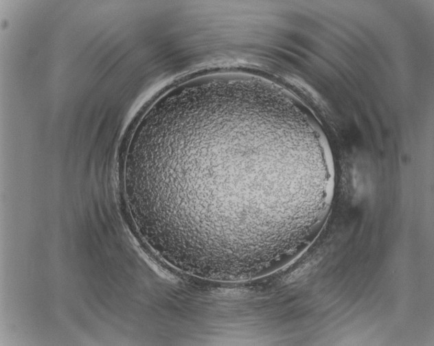 X0000058780894200510031017