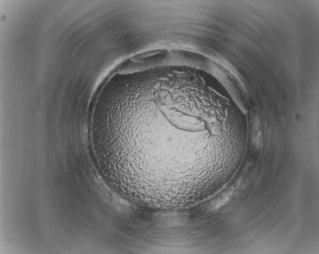 X0000058780896200510031017