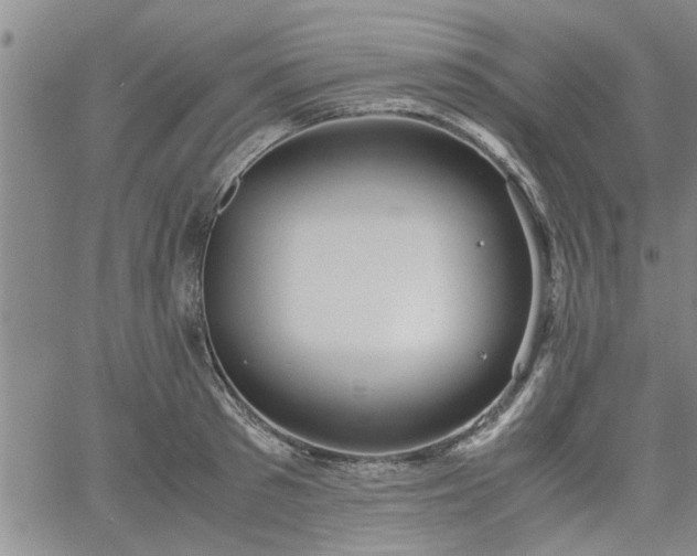 X0000058780897200510031017