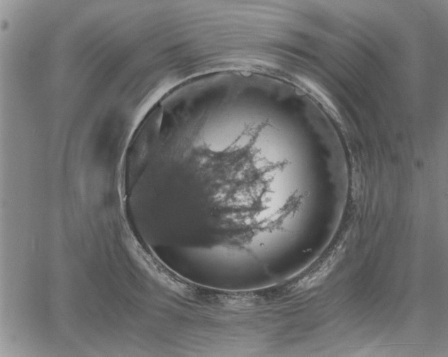 X0000058780899200510031017