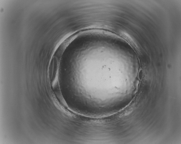 X0000058780900200510031017