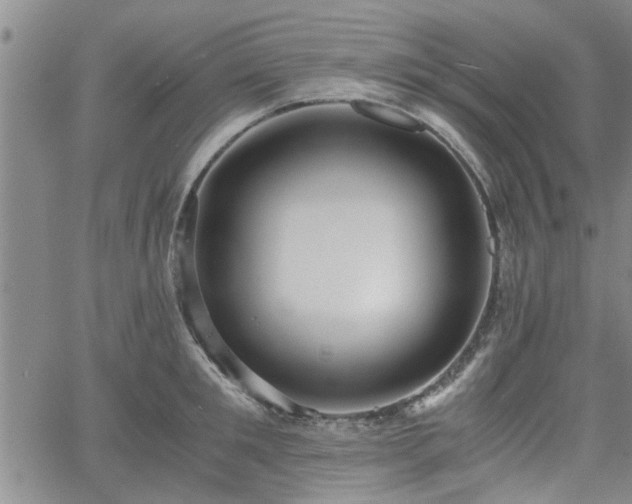 X0000058780901200510031017