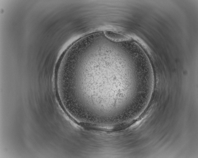 X0000058780902200510031017