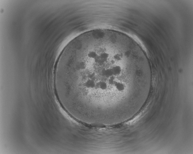 X0000058780903200510031017